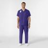 WINK Scrubs for Men, W123, V-Neck Tops with 6 Pockets(Grape)