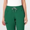 WonderWink Womens Renew Women’s Jogger Scrub Pant(Hunter)