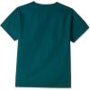WonderWink Men’s Big The Alpha Unisex V-Neck Scrub Top(Hunter)