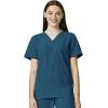 WonderWink W123 Unisex 4-Pocket Utility Top & Unisex Multi-cargo pant Scrub Set + Badge Reel(Caribbean)
