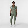 Wink Womens Scrub Top(Sage)