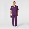 Wink WonderWORK Scrubs for Men, Cargo Scrub Pants(Eggplant)