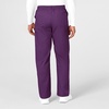 Wink WonderWORK Scrubs for Men, Cargo Scrub Pants(Eggplant)