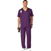 Wink WonderWORK Scrubs for Men, Cargo Scrub Pants(Eggplant)