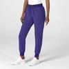Wink Women’s Women’s Jogger Utility Scrub Pant(Grape)