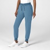 Wink Women’s Women’s Jogger Utility Scrub Pant(Pacific Blue)
