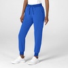 Wink Women’s Women’s Jogger Utility Scrub Pant(Royal)