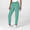 Wink Women’s Women’s Jogger Utility Scrub Pant(Turquoise)