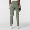 Wink Boundless Women’s Jogger Scrub Pant(Sage)