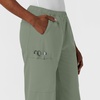 Wink NURTUR Women’s Straight Leg Cargo Scrub Pant, Sage, L PET