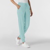 Wink Renew Women’s Jogger Scrub Pant(Coastal Blue)