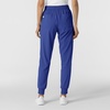 Wink Renew Women’s Jogger Scrub Pant(Galaxy Blue)