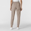 Wink Renew Women’s Jogger Scrub Pant(Haze)