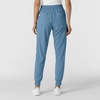 Wink Renew Women’s Jogger Scrub Pant(Pacific Blue)