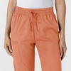 Wink Women’s Women’s Bootcut Scrub Pant(Terracotta)