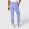 WINK Boundless Women’s Jogger Scrub Pant, Ceil Blue, 2XL