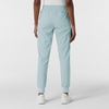 WonderWink Women’s Women’s Jogger Scrub Pant(Sky Blue)