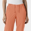 Wink W123 Women’s Cargo Utility Scrub Pant(Terracotta)