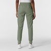 WonderWink Women’s Women’s Jogger Scrub Pant(Sage)